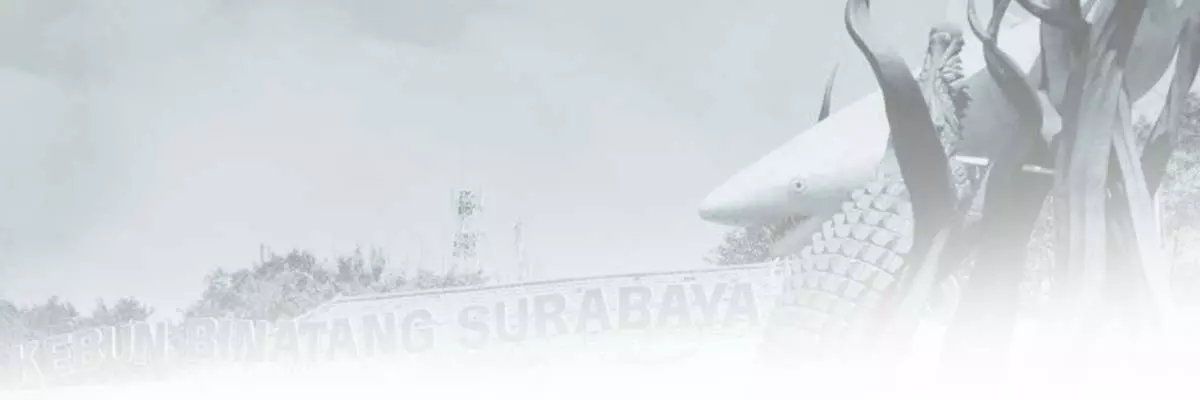 Jual  Perumahan di Surabaya | Dewi Chuan Properti